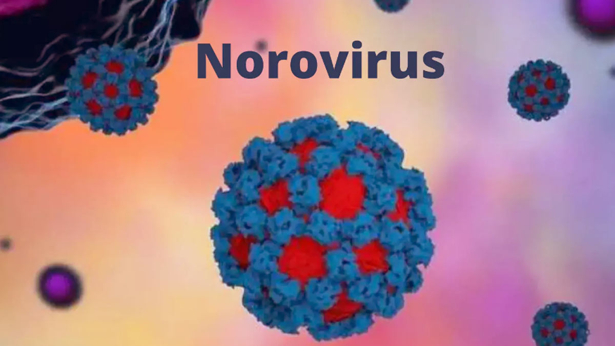 2 Norovirus Cases In Kerala: Should We Be Concerned?